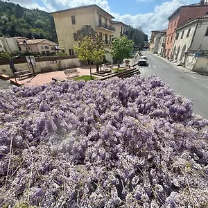 casa-del-glicine-appartamento-in-palazzo-storico.it-tuscanyhotel.com/